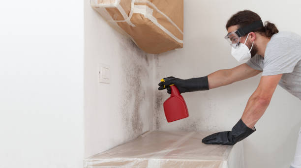 Professional Bathroom Mold Removal technician working in Highspire, PA
