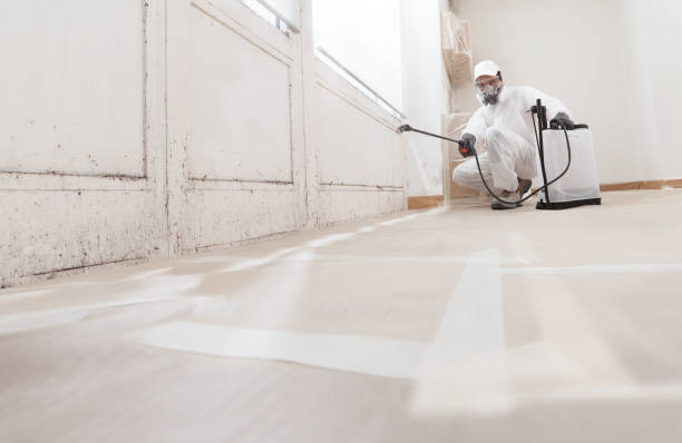 24/7 Emergency Bathroom Mold Removal experts in Highspire, PA